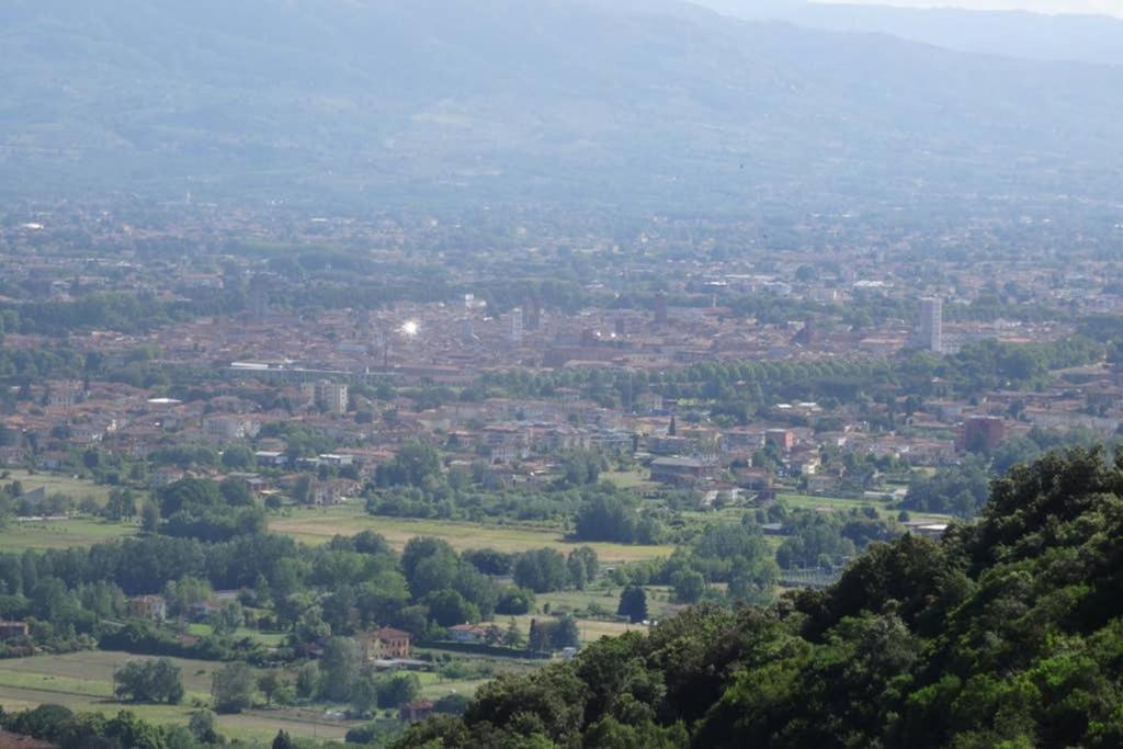 Villetta Farfallina "The Unique Property In The World With An Openable Roof" Lucca Kültér fotó